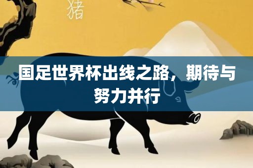 国足世界广州鸿业环保设备有限公司杯出线之路，期待与努力并行