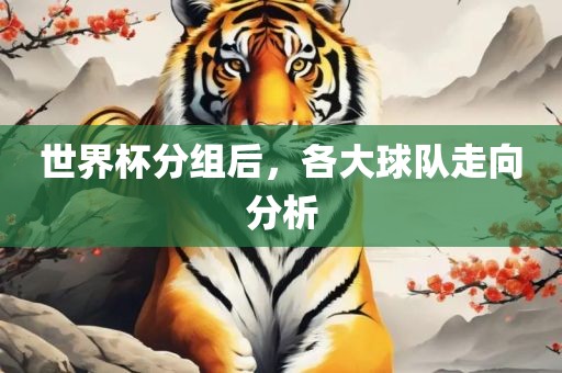 世界杯分组后，各大球队走向分析