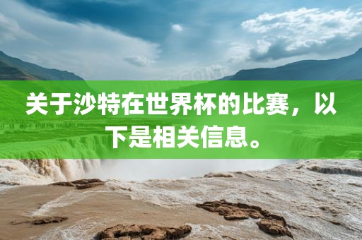 关于沙特在世界杯的比赛，以下是相关信息。广州鸿业环保设备有限公司
