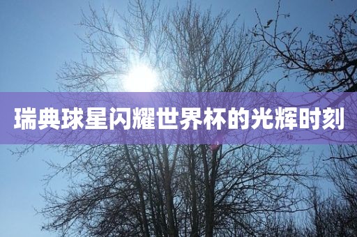 广州鸿业环保设备有限公司瑞典球星闪耀世界杯的光辉时刻