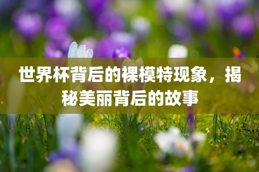 世界杯背后的裸模特现象，揭秘美丽背后的故事