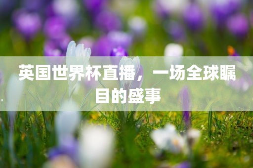 英国世界杯直播，一场全球瞩目的盛事