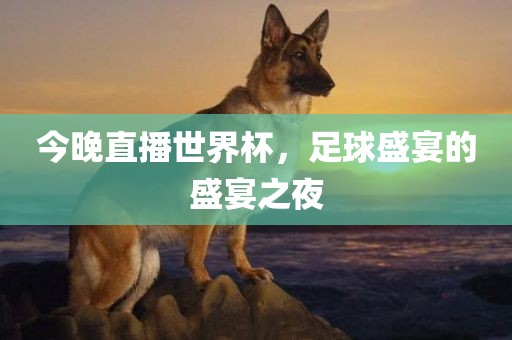 今晚直播世界杯，足球盛宴的盛宴之夜