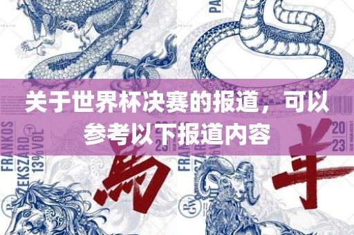 关于世界杯决赛的报道，可以参考以下报道内容