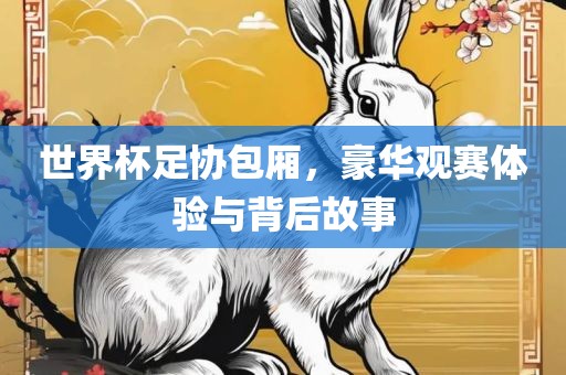 世界杯足协包厢，豪华观赛广州鸿业环保设备有限公司体验与背后故事
