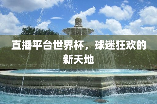 直播平台世界杯，球迷狂欢的新天地
