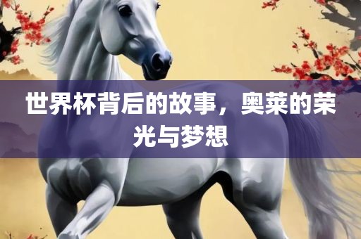 世界杯背后的故事，奥莱的荣光与梦想