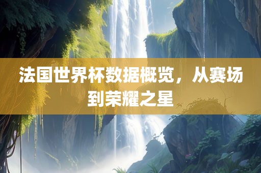 法国世界杯数据概览，从赛场到荣耀之星