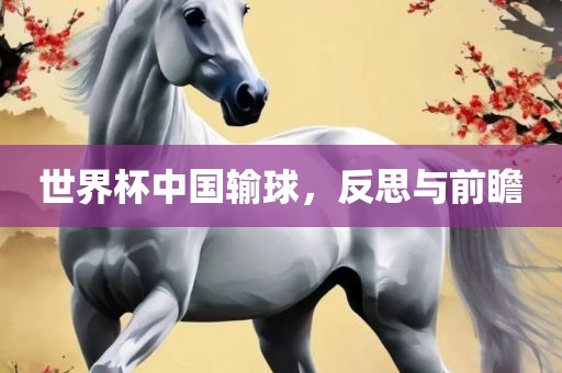 世界杯中国输球，反思与前瞻广州鸿业环保设备有限公司