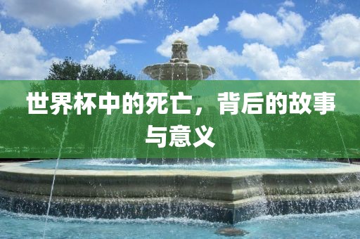世界杯中的死亡，背后的故事与意义