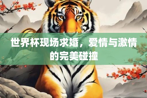世界杯现场求婚，爱情与激情的完美碰撞