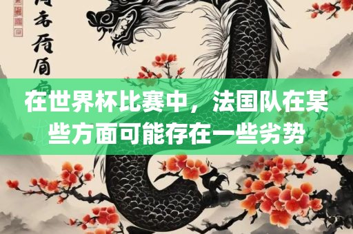在世界杯比赛中，法国队在某些方面可能存在一些劣势