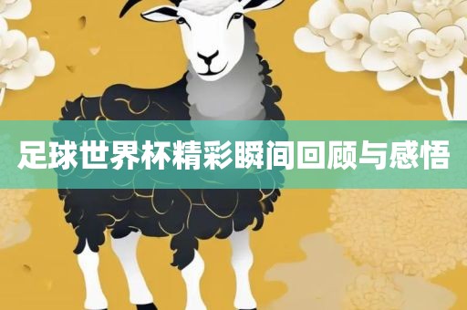 足球世界广州鸿业环保设备有限公司杯精彩瞬间回顾与感悟