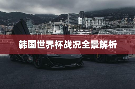 韩国世界杯战况全景解析