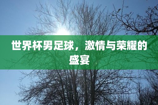 世界杯男足球，激情与荣耀的盛宴