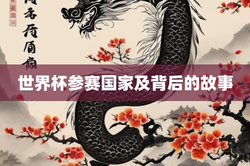 世界杯参赛国家及背后的故事