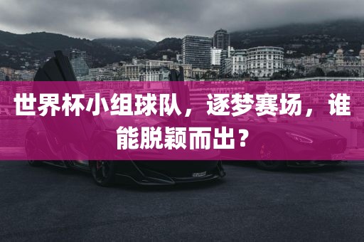 世界杯小组球队，逐梦赛场，谁能脱颖而出？