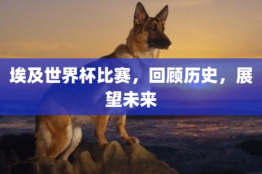 埃及世界杯比赛，回顾历史，展望未来