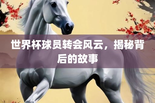 世界杯球员转会风云，揭秘背后的故事