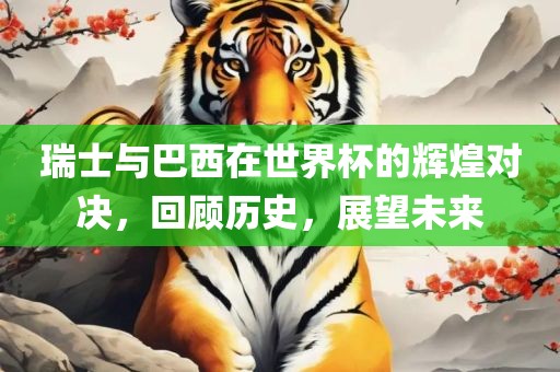 瑞士与巴西在世界杯的辉煌对决，回顾历史，展望未来