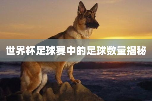 世界杯足球赛中的足球数量揭秘广州鸿业环保设备有限公司