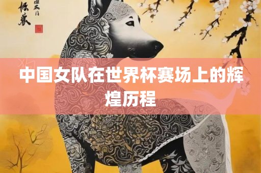中国女队在世界杯赛场上的辉煌历程广州鸿业环保设备有限公司