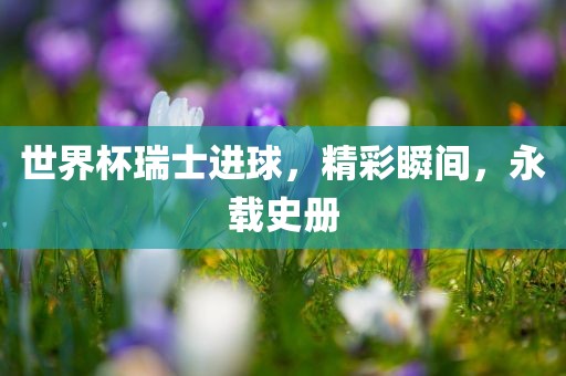 世界杯瑞士进球，精彩瞬间，永载史册