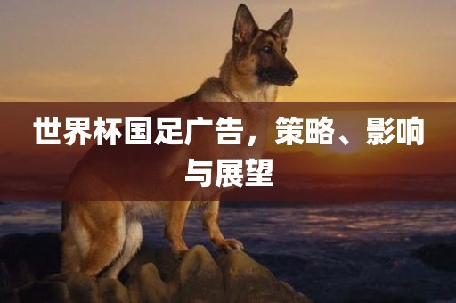 世界杯国足广告，策略、影响与展望