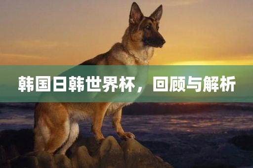 韩国日韩世界杯，回顾与解析