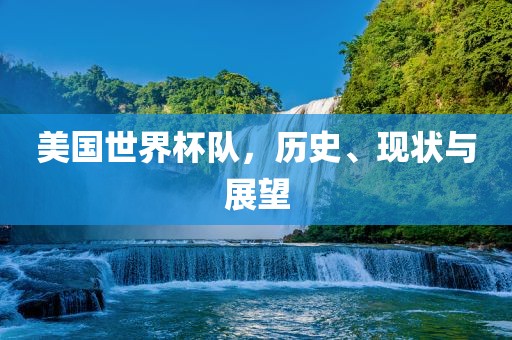 美国世界杯队，历史、现状与展望广州鸿业环保设备有限公司