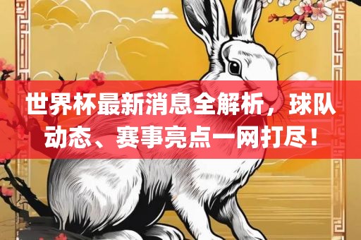 世界杯最新消息全解析，球队动态、赛事亮点一网打尽！