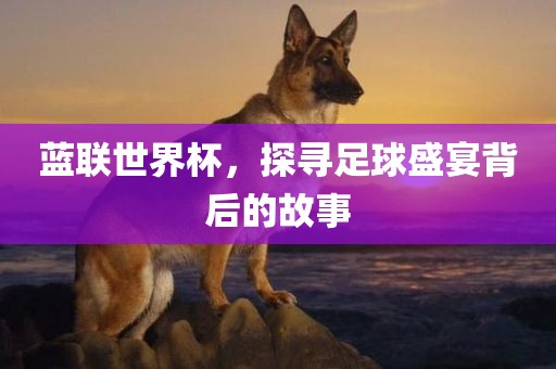 蓝联世界杯，探寻足球盛宴背后的故事