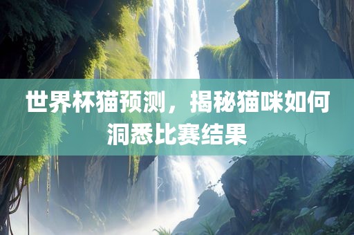 世界杯猫预测，揭秘猫咪如何洞悉比赛结果