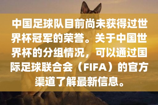中国足球队目前尚未获得过世界杯冠军的荣誉。关于中国世界杯的分组情况，可以通过国际足球联合会（FIFA）的官方渠道了解最新信息。