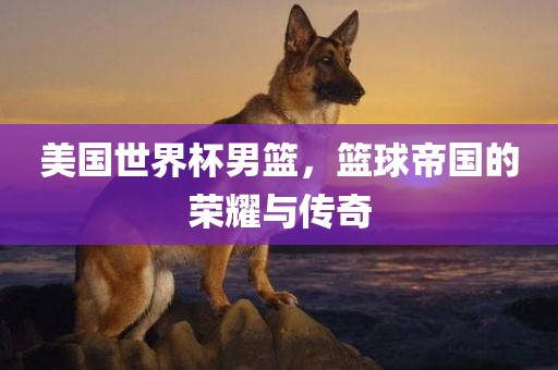 美国世界杯男篮，篮球帝国的荣耀与传奇广州鸿业环保设备有限公司