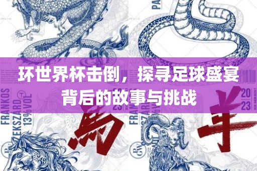 环世界杯击倒，探寻足球盛宴背后的故事与挑战