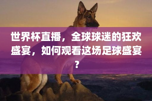 世界杯直播，全球球迷的狂欢盛宴，如何观看这场足球盛宴？