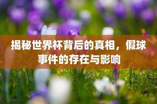 揭秘世界杯背后的真相，假球事件的存在与影响