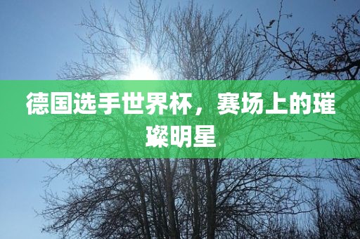 德国选手世界杯，赛场上的璀璨明星