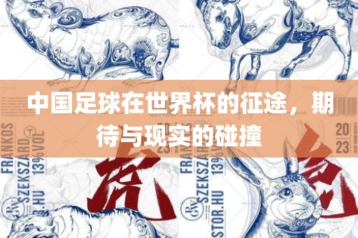 中国足球在世界杯的征途，期待与现实的碰撞