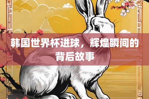 韩国世界杯进球，辉煌瞬间的背后故事广州鸿业环保设备有限公司