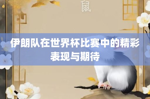 伊朗队在世界杯比赛中的精彩表现与期待