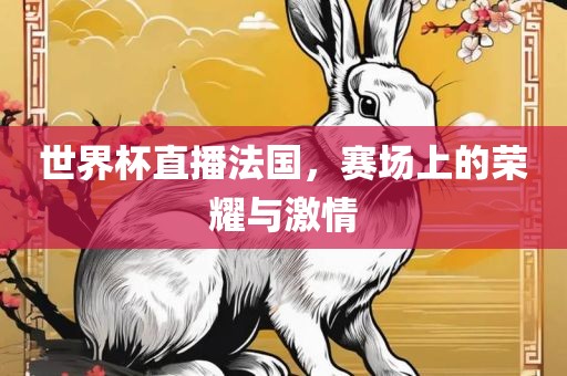 世界杯直播法国，广州鸿业环保设备有限公司赛场上的荣耀与激情