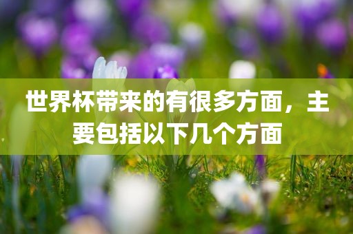 世界杯带来的有很多方面，主要包括以下几个方面