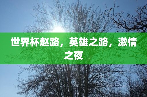 世界杯赵路，英雄之路，激情之夜