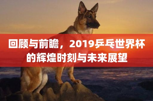 回顾与前瞻，2019乒乓世界杯的辉煌时刻与未来展望
