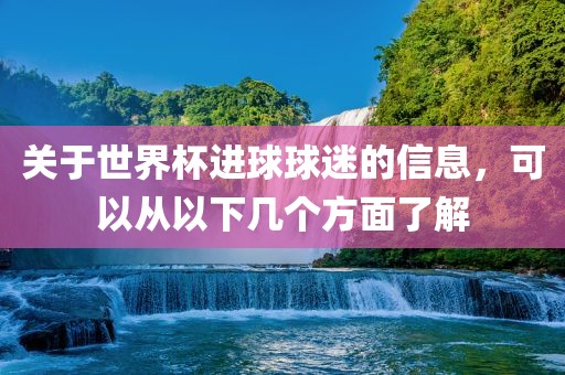 关于世界杯进球球迷的信息，可以从以下几个方面了解