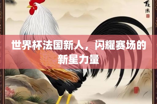 世界杯法国新人，闪耀赛场的新星力量