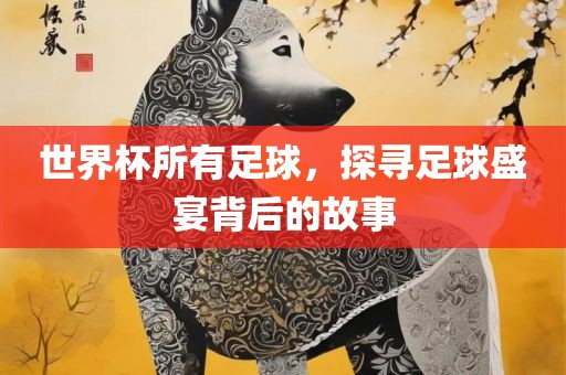 世界杯所有足球，探寻足球盛宴背后的故事