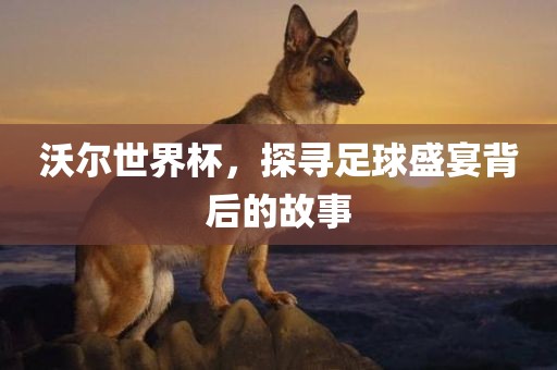 沃尔世界杯，探寻足球盛宴背后的故事